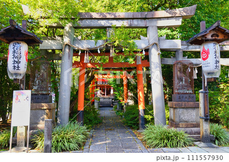 武信稲荷神社(京都市中京区) 武信稲荷神社(京都市中京区) 111557930