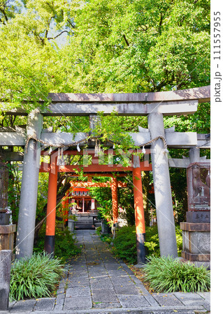 武信稲荷神社（京都市中京区） 111557955
