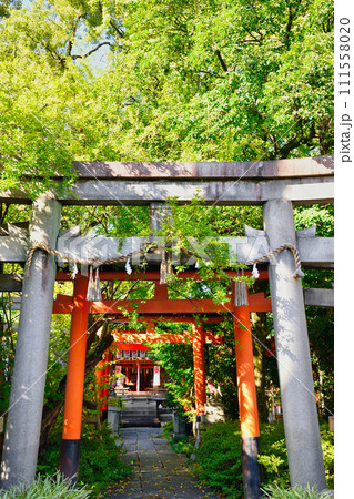 武信稲荷神社（京都市中京区） 111558020