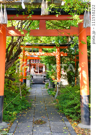 武信稲荷神社（京都市中京区） 111558222