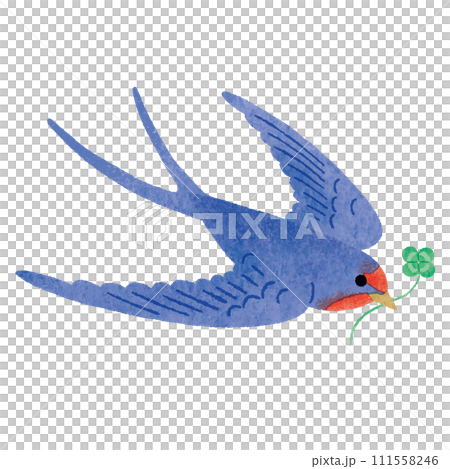 A swallow carrying a four-leaf clover of good fortune A swallow carrying a lucky four-leaf clover 111558246