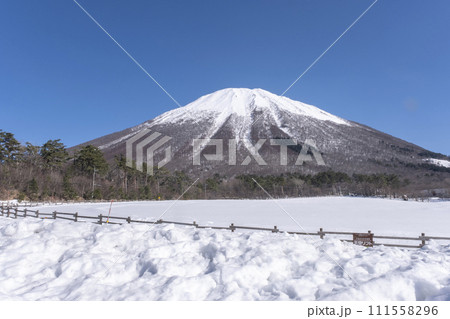 冠雪の大山　（大山まきばみるくの里付近から） 111558296