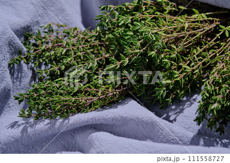 Fresh green thyme on a blue fabric background. 111558727