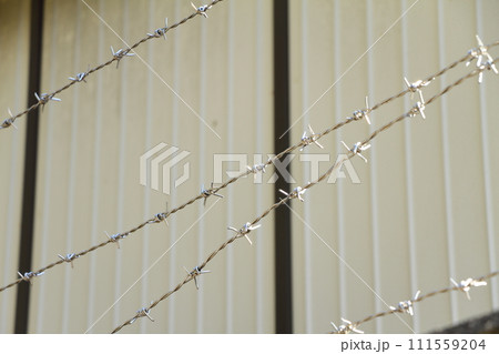 有刺鉄線 有刺鉄線 111559204