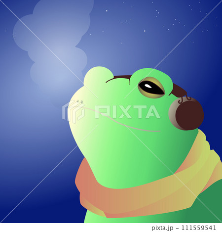 寒い夜に音楽を聴くカエルのイラスト 111559541