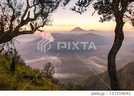 Spectacular view of Mount Bromo at dawn view look through the natural frame. This is an active volcano part of the Tengger massif, in East Java, Indonesia. Spectacular view of Mount Bromo at dawn view look through the natural frame. This is an active volcano part of the Tengger massif, in East Java, Indonesia. 111559642