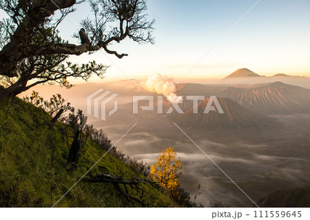 Spectacular view of Mount Bromo at dawn view from the top of King Kong hill. This is an active volcano part of the Tengger massif, in East Java, Indonesia. 111559645