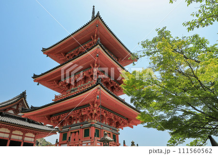 京都　音羽山清水寺の三重塔（子安の塔） 111560562