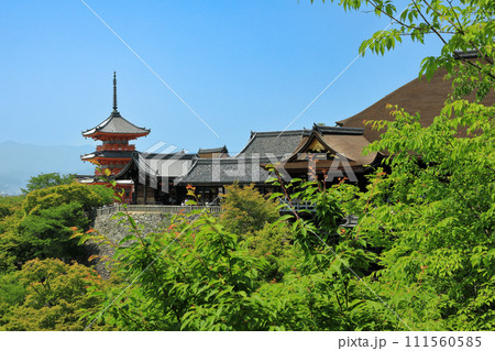 世界遺産　京都清水寺本堂(清水の舞台） 111560585