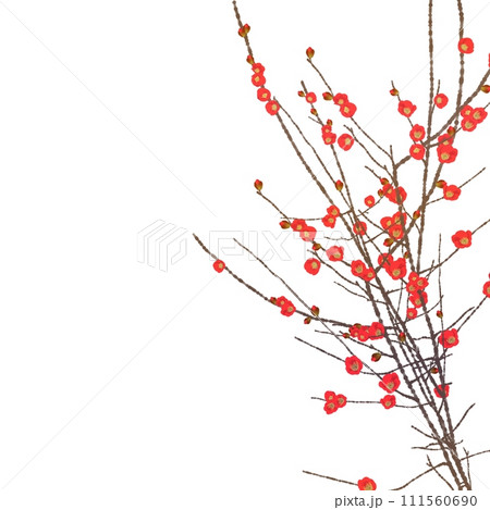 木瓜の花 111560690