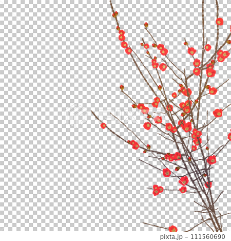 Flower of crumpled 111560690