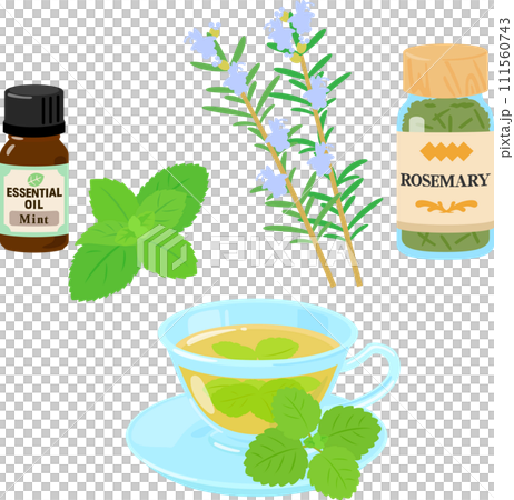 Herbal essential oils, dried herbs, herbal tea 111560743