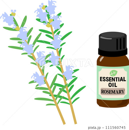ローズマリーのエッセンシャルオイル 111560745