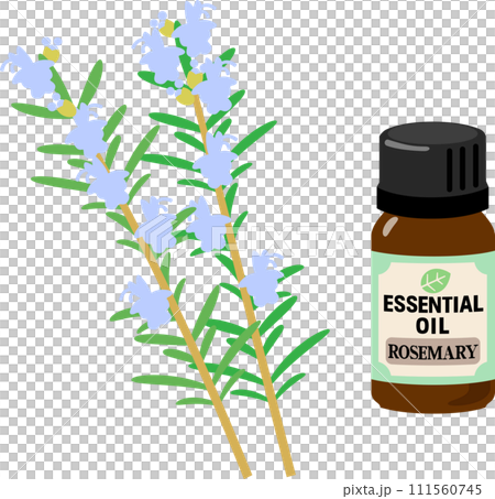 ローズマリーのエッセンシャルオイル 111560745