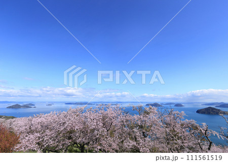紫雲出山山頂園地から見る荘内半島の桜と瀬戸内海の笠岡諸島・備讃瀬戸の島々 紫雲出山山頂園地から見る荘内半島の桜と瀬戸内海の笠岡諸島・備讃瀬戸の島々 111561519