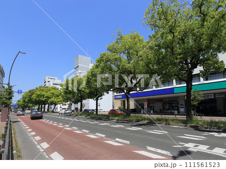 高松市の中央通り（中野町から高松駅方向を見る） 111561523