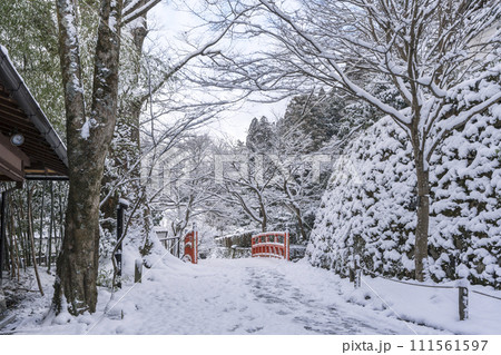 京都 大原三千院 雪景色の桜の馬場 京都 大原三千院 雪景色の桜の馬場 111561597