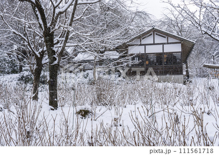 京都　大原三千院　雪景色のあじさい苑 111561718