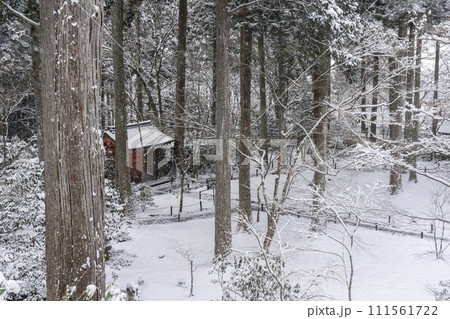 京都 大原三千院 雪景色の朱雀門 京都 大原三千院 雪景色の朱雀門 111561722
