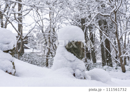 大原三千院　あじさい苑の奥　雪帽子をかぶった「おさな地蔵」 111561732