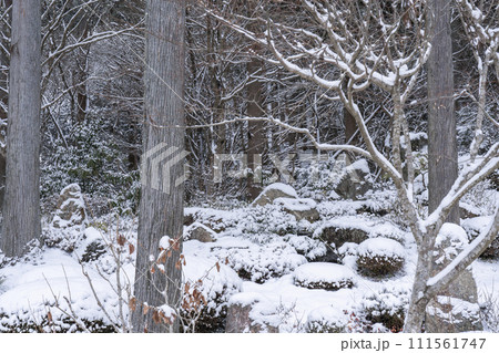 大原三千院 雪景色の石庭「二十五菩薩慈眼の庭」 大原三千院 雪景色の石庭「二十五菩薩慈眼の庭」 111561747