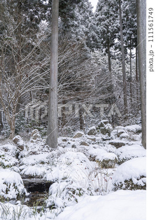 大原三千院 雪景色の石庭「二十五菩薩慈眼の庭」 大原三千院 雪景色の石庭「二十五菩薩慈眼の庭」 111561749