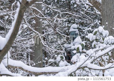 大原三千院 雪景色の弁財天 大原三千院 雪景色の弁財天 111561753