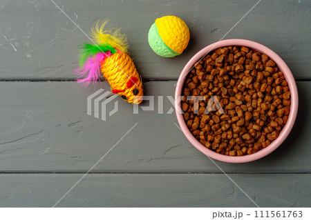 Top view of bowl with dry pet food on gray wooden background Top view of bowl with dry pet food on gray wooden background 111561763