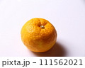 柚子01 111562021