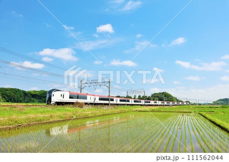 千葉県 青空と新緑の田んぼを走る電車(成田エクスプレス) 千葉県 青空と新緑の田んぼを走る電車(成田エクスプレス) 111562044