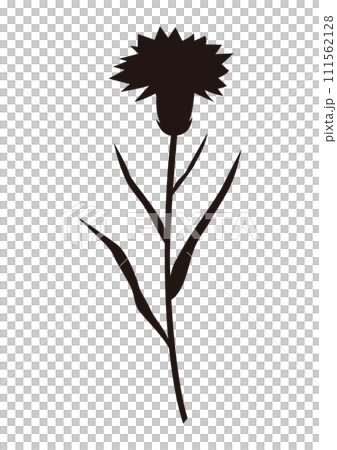カーネーション一本（シルエット） 111562128