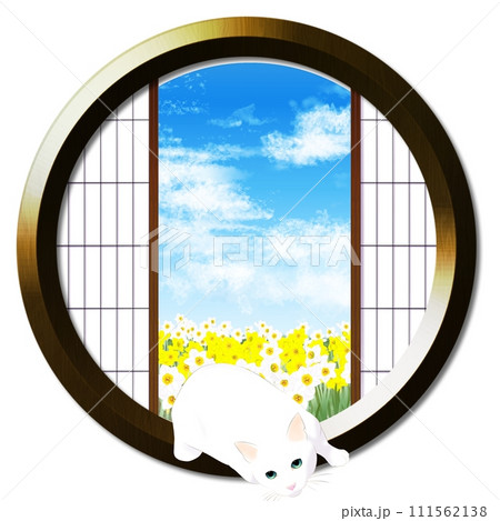 丸窓から見える水仙畑と猫 丸窓から見える水仙畑と猫 111562138