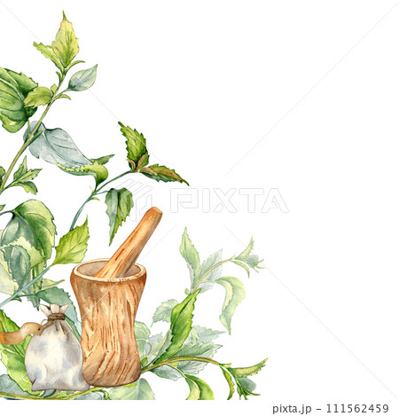Border with medicinal herbs and wooden mortar isolated on white . Nettle stinging plant and herb sachet with dry leaves. Wooden utensil hand drawing. Element for label herbal plants, herbalism Border with medicinal herbs and wooden mortar isolated on white . Nettle stinging plant and herb sachet with dry leaves. Wooden utensil hand drawing. Element for label herbal plants, herbalism 111562459