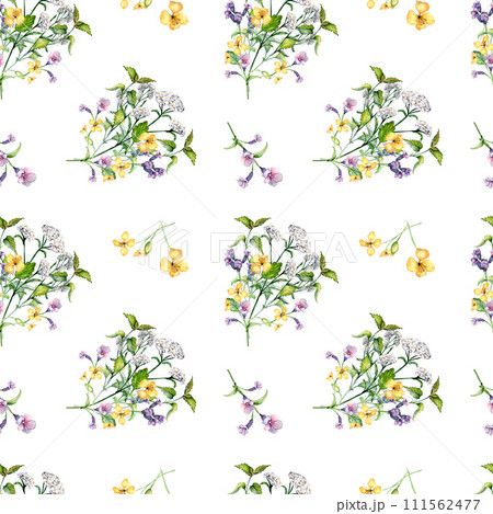 Seamless wild medicinal plant, herbs watercolor pattern isolated on white background. Floral pattern with millefolium, nettle, pulmonaria, celanine hand drawn. Design for label, package, textile Seamless wild medicinal plant, herbs watercolor pattern isolated on white background. Floral pattern with millefolium, nettle, pulmonaria, celanine hand drawn. Design for label, package, textile 111562477