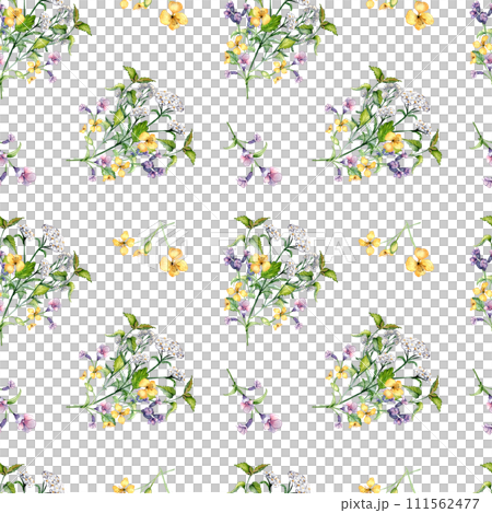 Seamless wild medicinal plant, herbs watercolor pattern isolated on white background. Floral pattern with millefolium, nettle, pulmonaria, celanine hand drawn. Design for label, package, textile Seamless wild medicinal plant, herbs watercolor pattern isolated on white background. Floral pattern with millefolium, nettle, pulmonaria, celanine hand drawn. Design for label, package, textile 111562477