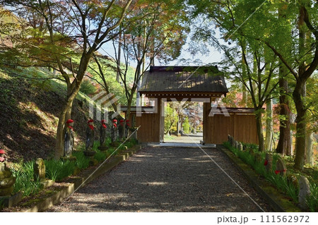 佐野市仙波町の聖法寺金蔵院の紅葉の参道に山門 佐野市仙波町の聖法寺金蔵院の紅葉の参道に山門 111562972