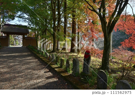 佐野市仙波町の聖法寺金蔵院の紅葉の参道に山門 佐野市仙波町の聖法寺金蔵院の紅葉の参道に山門 111562975