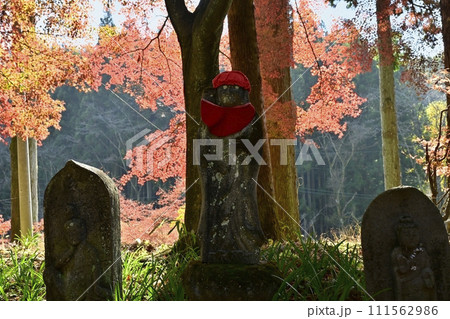 佐野市仙波町の聖法寺金蔵院の紅葉の参道にお地蔵様 111562986