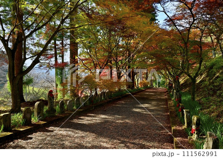 佐野市仙波町の聖法寺金蔵院の紅葉の参道にお地蔵様 佐野市仙波町の聖法寺金蔵院の紅葉の参道にお地蔵様 111562991