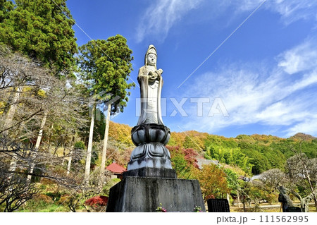 秋の佐野市仙波町の聖法寺金蔵院の慈母観世音菩薩像 111562995