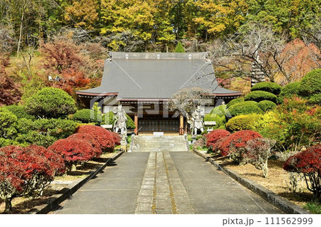 秋の佐野市仙波町の聖法寺金蔵院の本堂に参道 秋の佐野市仙波町の聖法寺金蔵院の本堂に参道 111562999