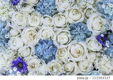 水に浮かぶ色鮮やかな花 花手水 水に浮かぶ色鮮やかな花 花手水 111563127