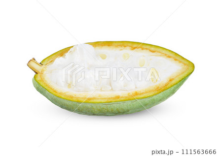 Green Cocoa isolated on white background. 111563666
