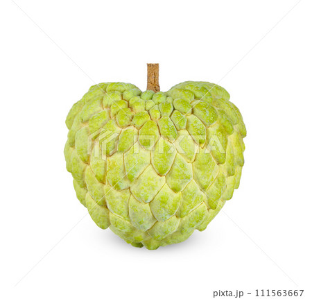 custard apple isolated on white background. 111563667