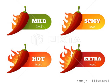 Spicy meter label. Chili pepper scale with different heat level, hot spicy food rating, cayenne pepper sauce logo. Vector isolated set Spicy meter label. Chili pepper scale with different heat level, hot spicy food rating, cayenne pepper sauce logo. Vector isolated set 111563891