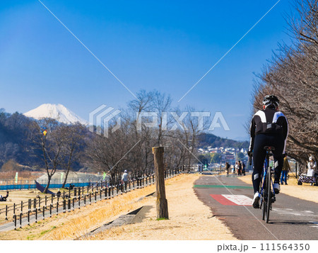 富士山を望む多摩川サイクリングロード(府中市付近) 富士山を望む多摩川サイクリングロード(府中市付近) 111564350