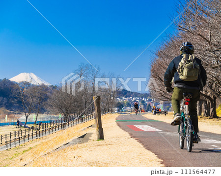 富士山を望む多摩川サイクリングロード(府中市付近) 富士山を望む多摩川サイクリングロード(府中市付近) 111564477