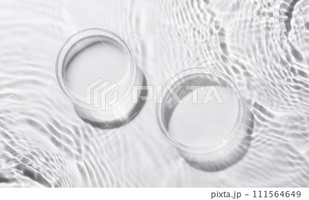 水面の背景に2つのペトリ皿 水面の背景に2つのペトリ皿 111564649
