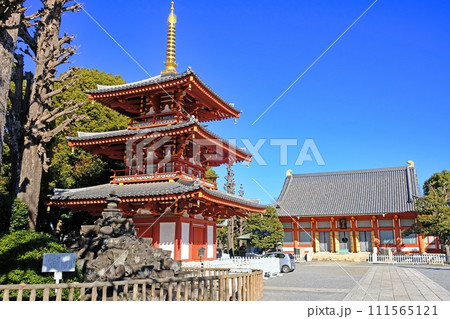 東京都中野区 宝泉院 本堂と三重塔 東京都中野区 宝泉院 本堂と三重塔 111565121