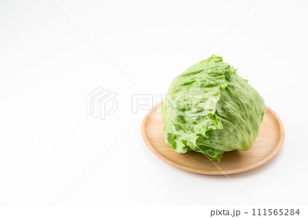 白バックのレタス 白バックのレタス 111565284